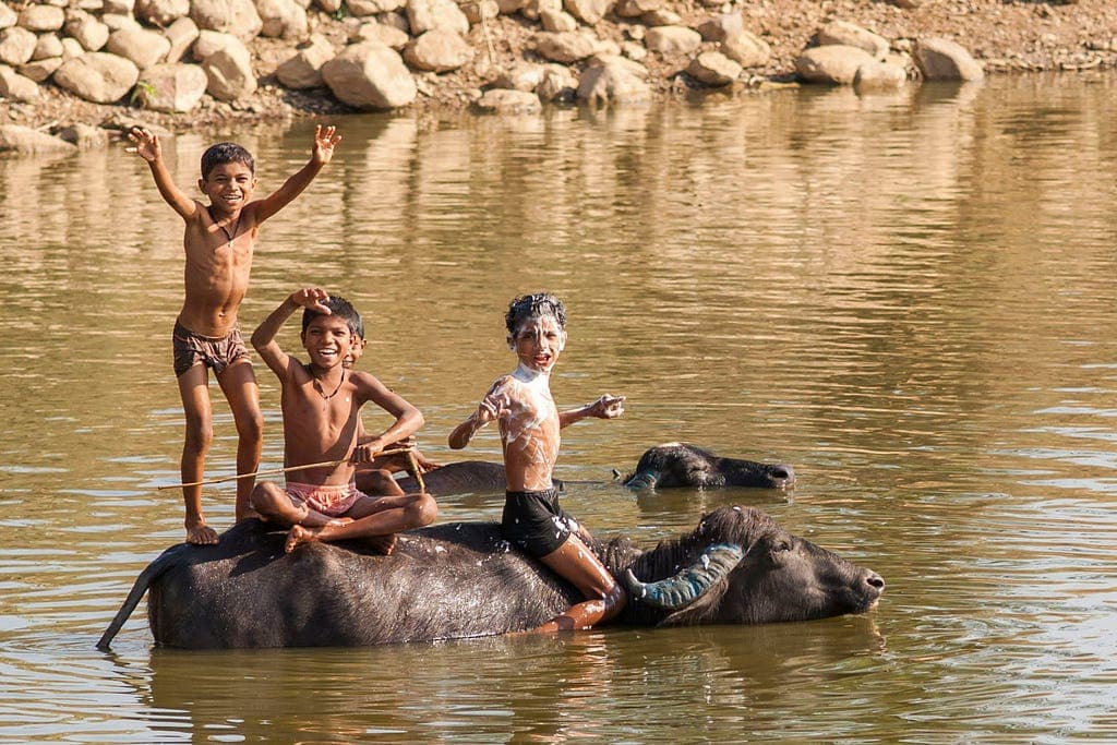 Children playing joyfully with water buffalo in a pond