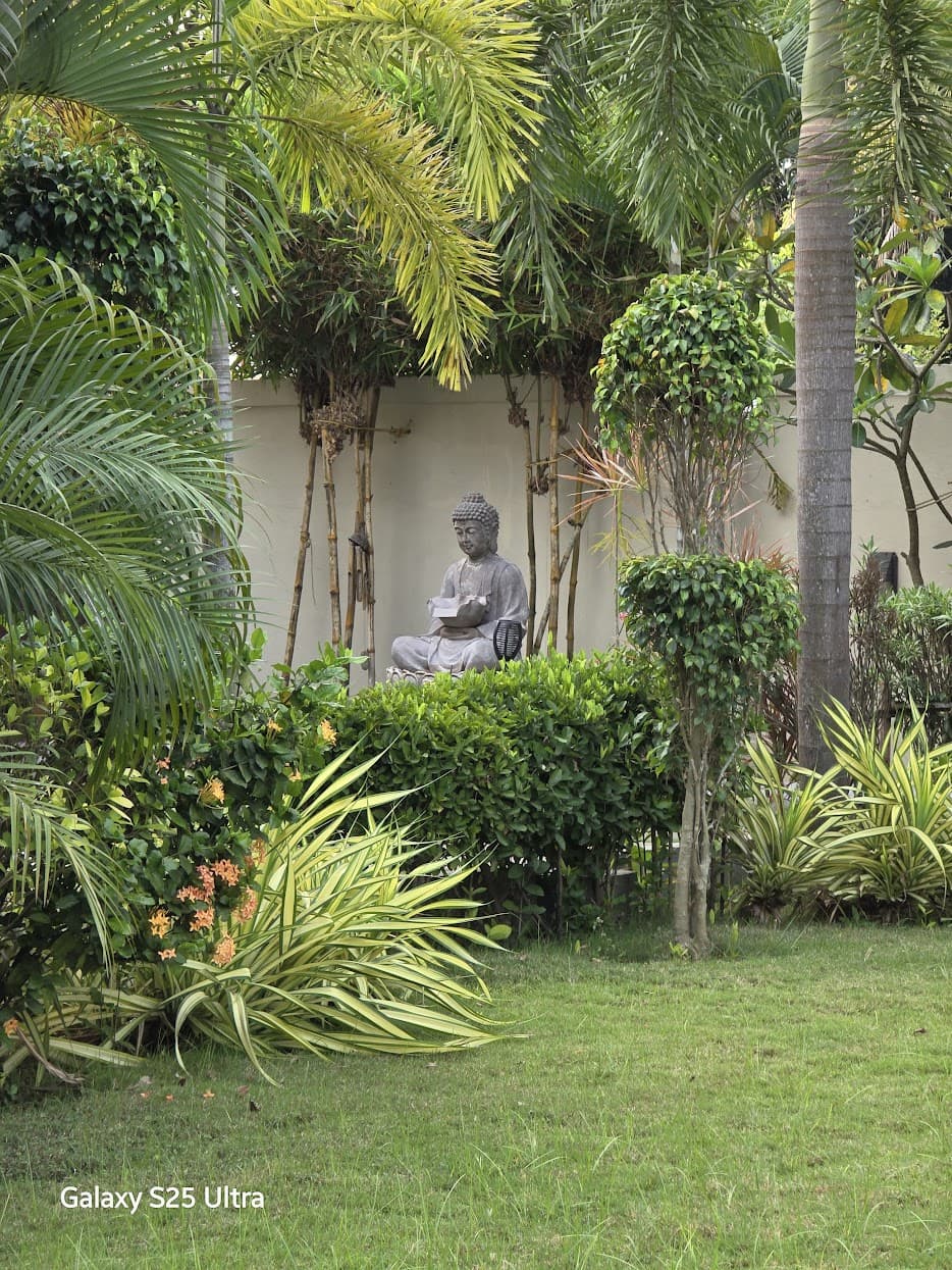 A Buddha statue surrounded by a lush tropical garden