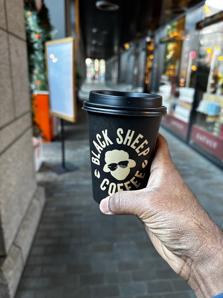 A Black Sheep Coffee cup held on a city street
